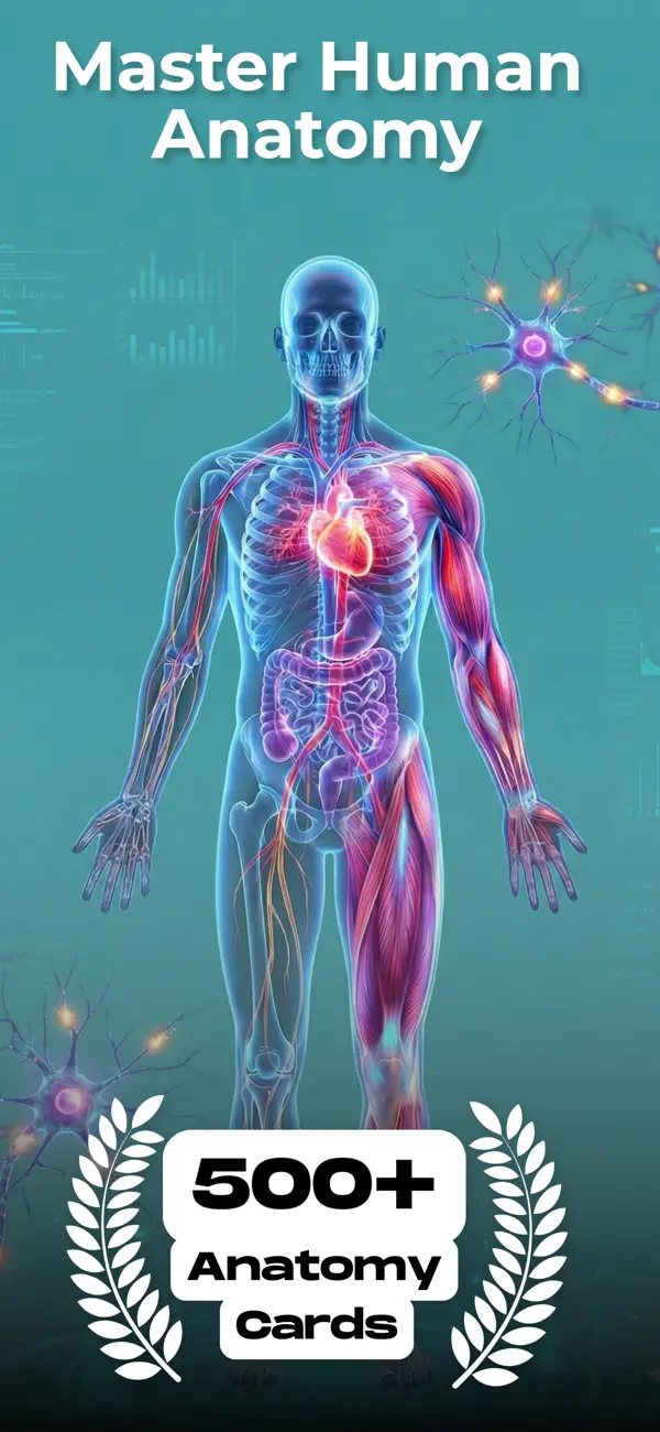 Anatomy card library screenshot