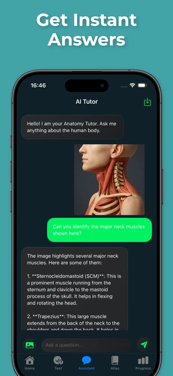AI anatomy tutor screen
